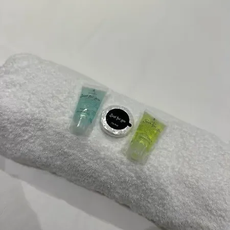 2 Flat, 50m From Airbus Apartment