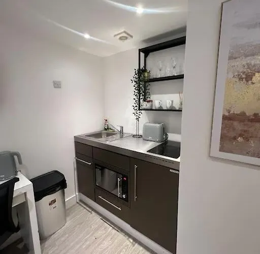 2 Flat, 50m From Airbus *